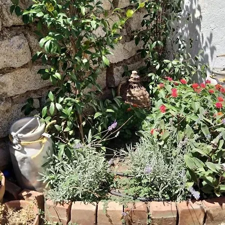 Holiday home Casa Indipendente Arzachena